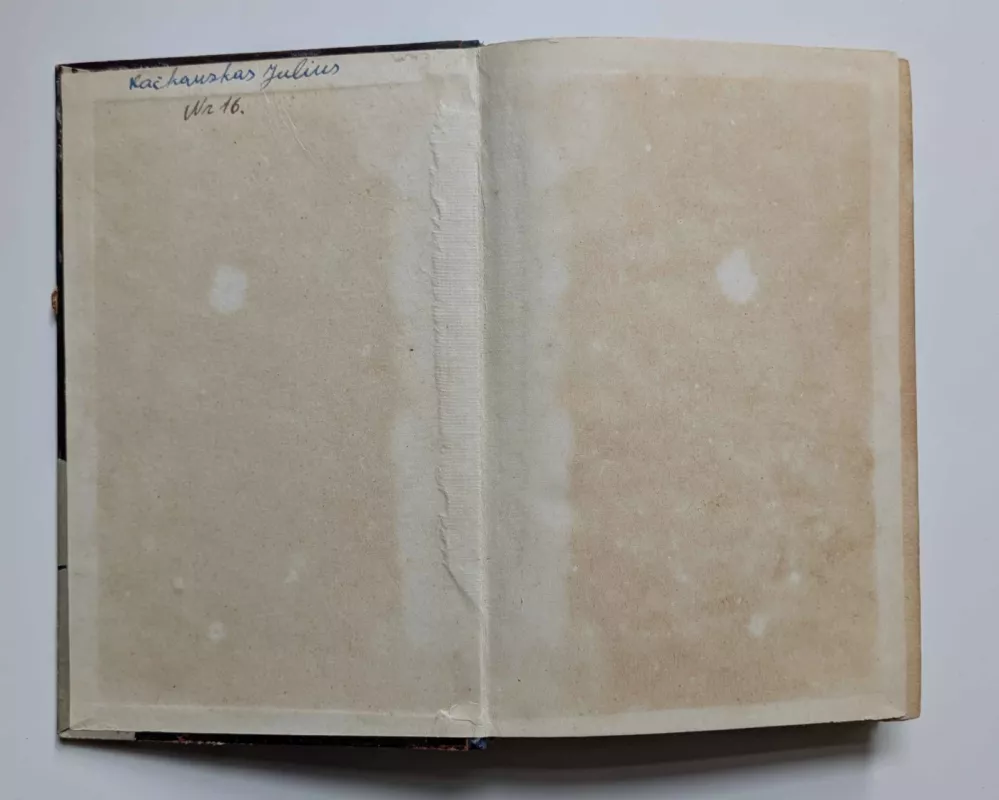 Karaliaus Saliamono kasyklos - H. Raideris Hagardas, knyga 3