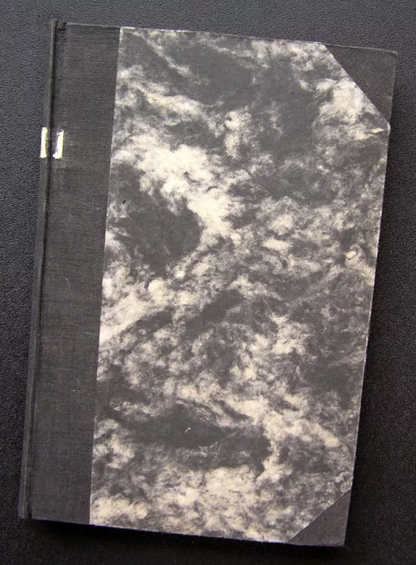 Žemaitės raštai IV tomas - Julija Beniuševičiūtė-Žymantienė Žemaitė, knyga 3