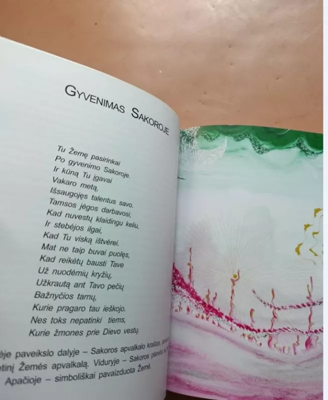 Dvasia. Paranormalių reiškinių tyrimai - Janis Kalns, knyga 6