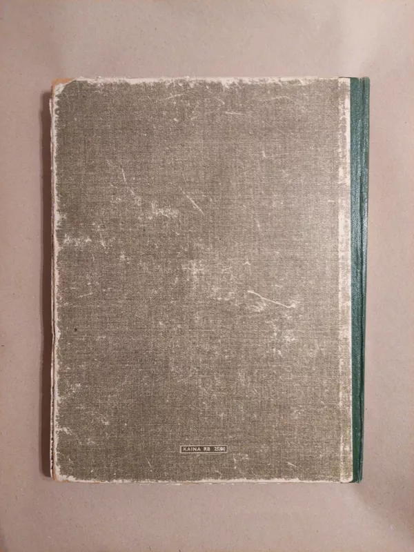 Rankdarbiai - O. Klikūnaitė, knyga 3