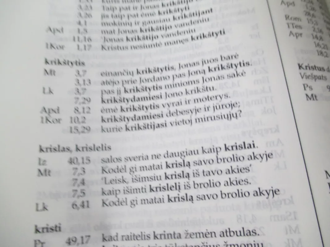 Biblijos Konkordancija. Šventojo Rašto rodyklės - Tomas Mačiūnas, knyga 4