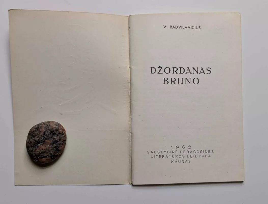 Džordanas Bruno - V. Radvilavičius, knyga 3