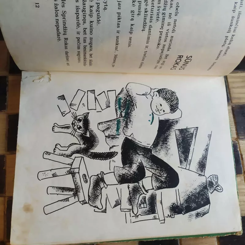 Sieksnis Sprindžio vaikas - Vytautas Petkevičius, knyga 3