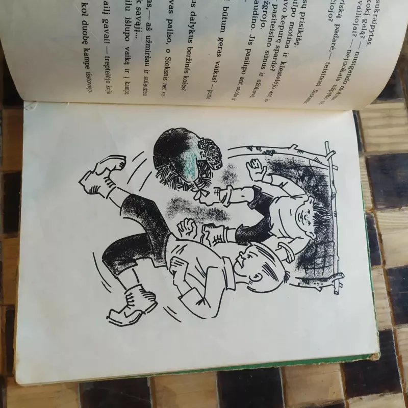 Sieksnis Sprindžio vaikas - Vytautas Petkevičius, knyga 4