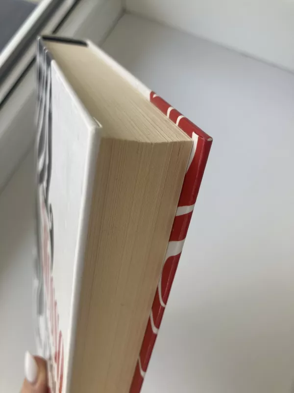 Mergaitė ir naktis - Guillaume Musso, knyga 5