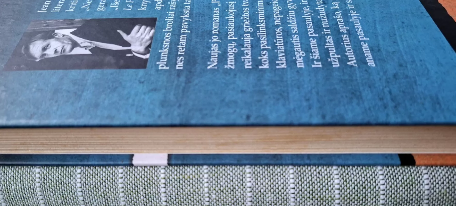 Pianistas - Jean Echenoz, knyga 4