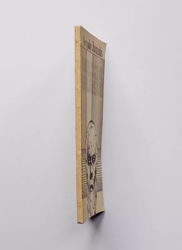 Valdžia ir laisvė - Arvydas Juozaitis, knyga 4