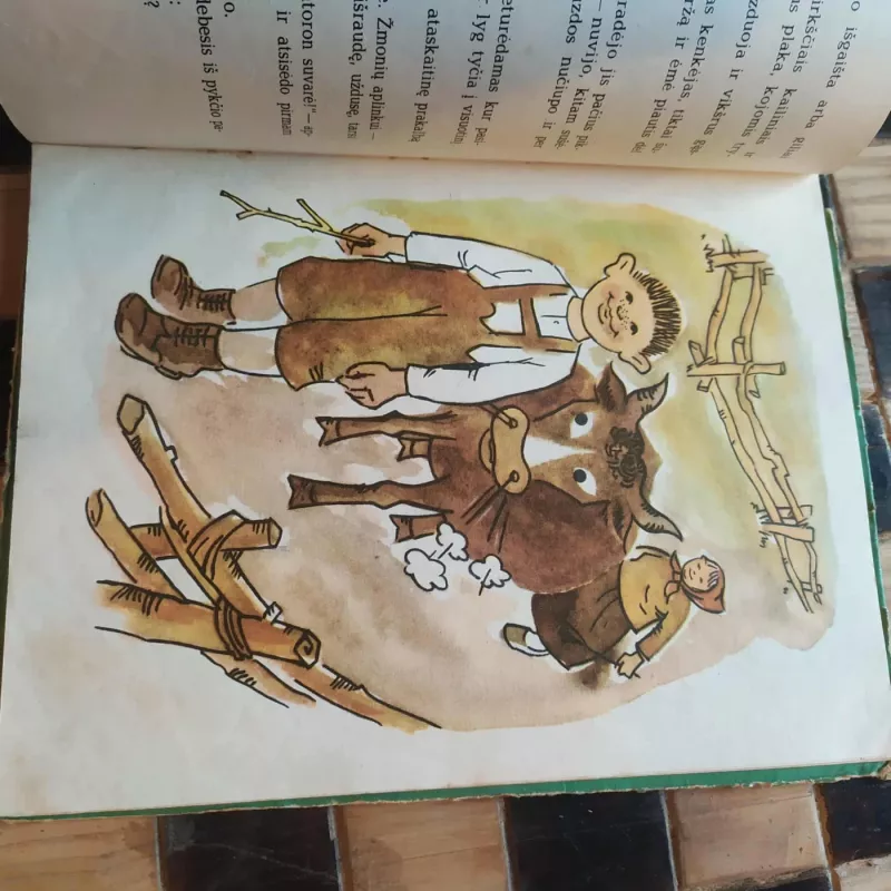 Sieksnis Sprindžio vaikas - Vytautas Petkevičius, knyga 6