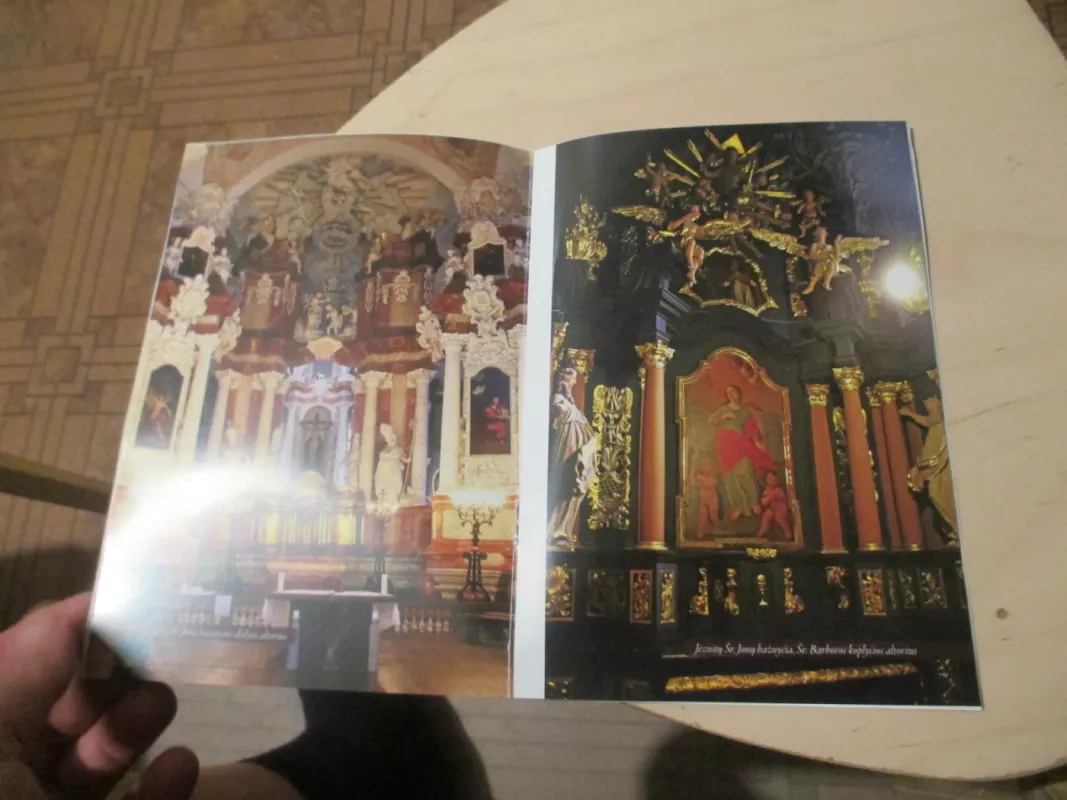 Jono Kristupo glaubico kelias - Auksė Kaladžinskaitė, knyga 6