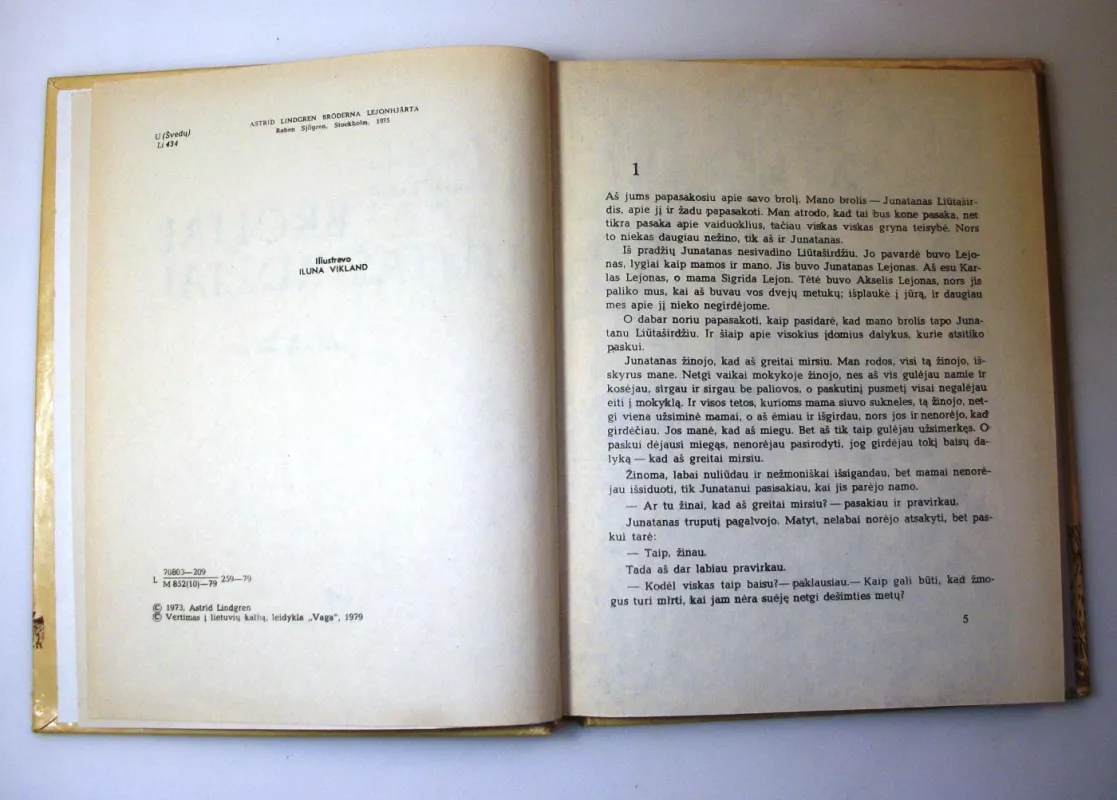 Broliai Liūtaširdžiai - Astrid Lindgren, knyga 5