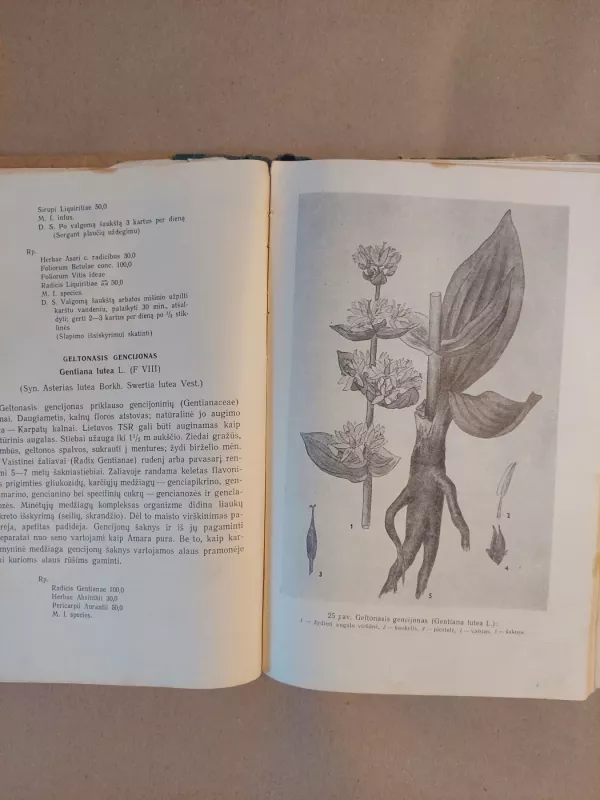 Vaistiniai augalai - Stasys Gudanavičius, knyga 4
