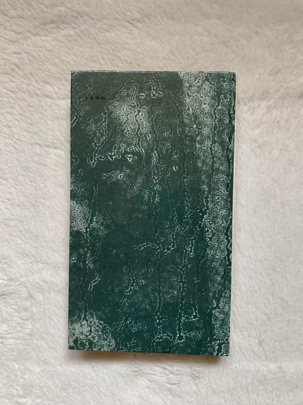 Balandė, kuri lauks - Vidmantė Jasukaitytė, knyga 4