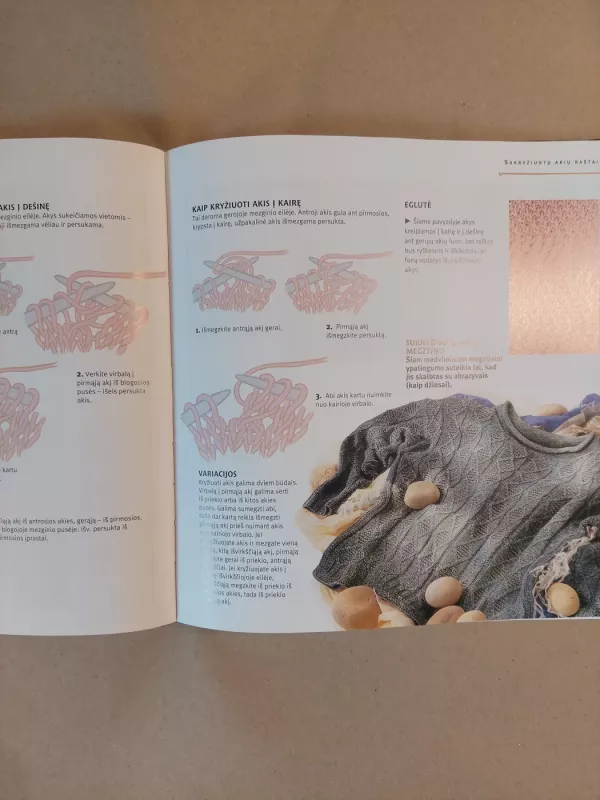 Mezgimo enciklopedija - Lesley Stanfield, Melody  Griffiths, knyga 4