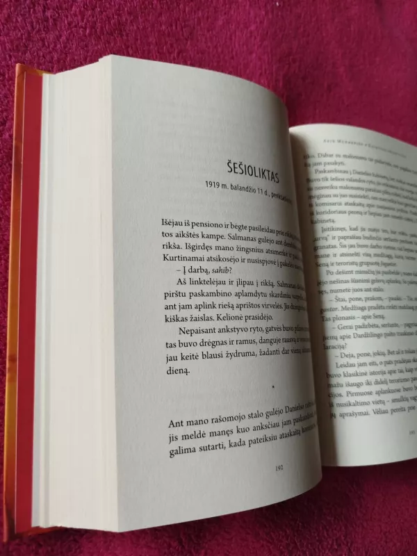 Kalkutos detektyvas : romanas - Abir Mukherjee, knyga 4