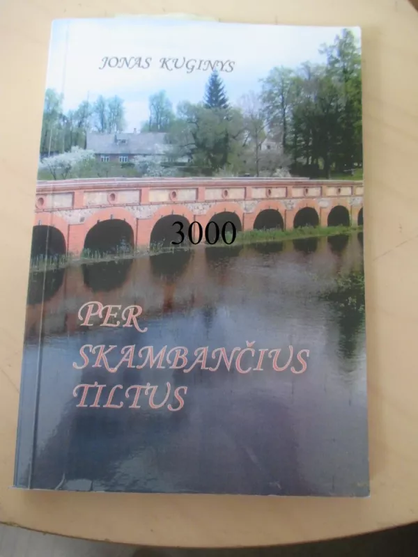 Per skambančius tiltus - Jonas Kuginis, knyga 2