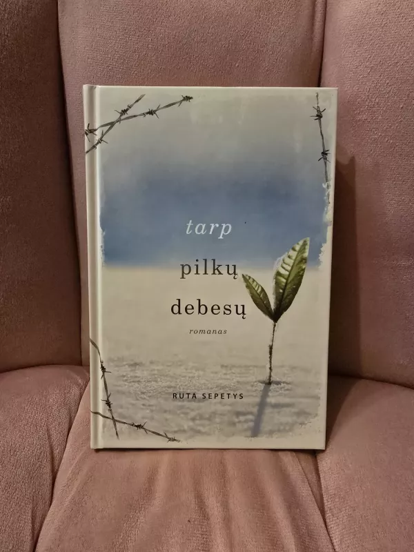 Tarp pilkų debesų - Šepetys Ruta, knyga 2