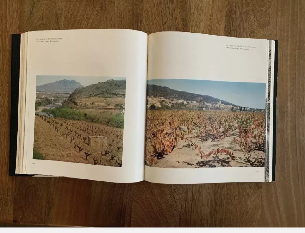 Rudolf Weinhold Vivat Bacchus: A history of the vine and its wine - Weinhold, Rudolf, knyga 4