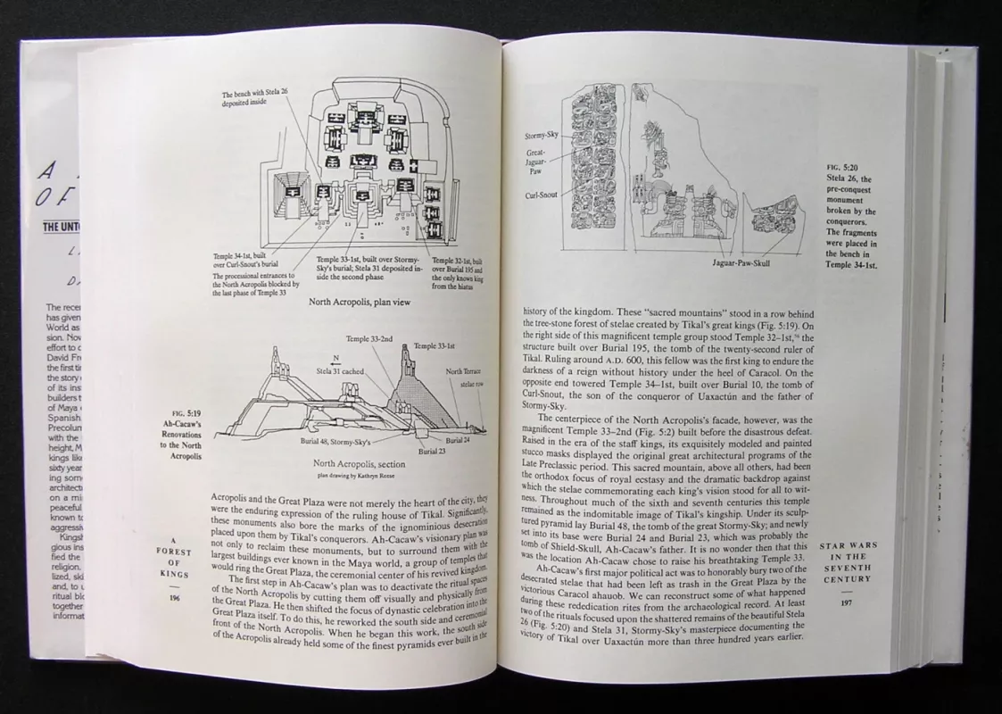 A Forest of Kings: The Untold Story of the Ancient Maya - Linda Schele, David Freidel, knyga 5
