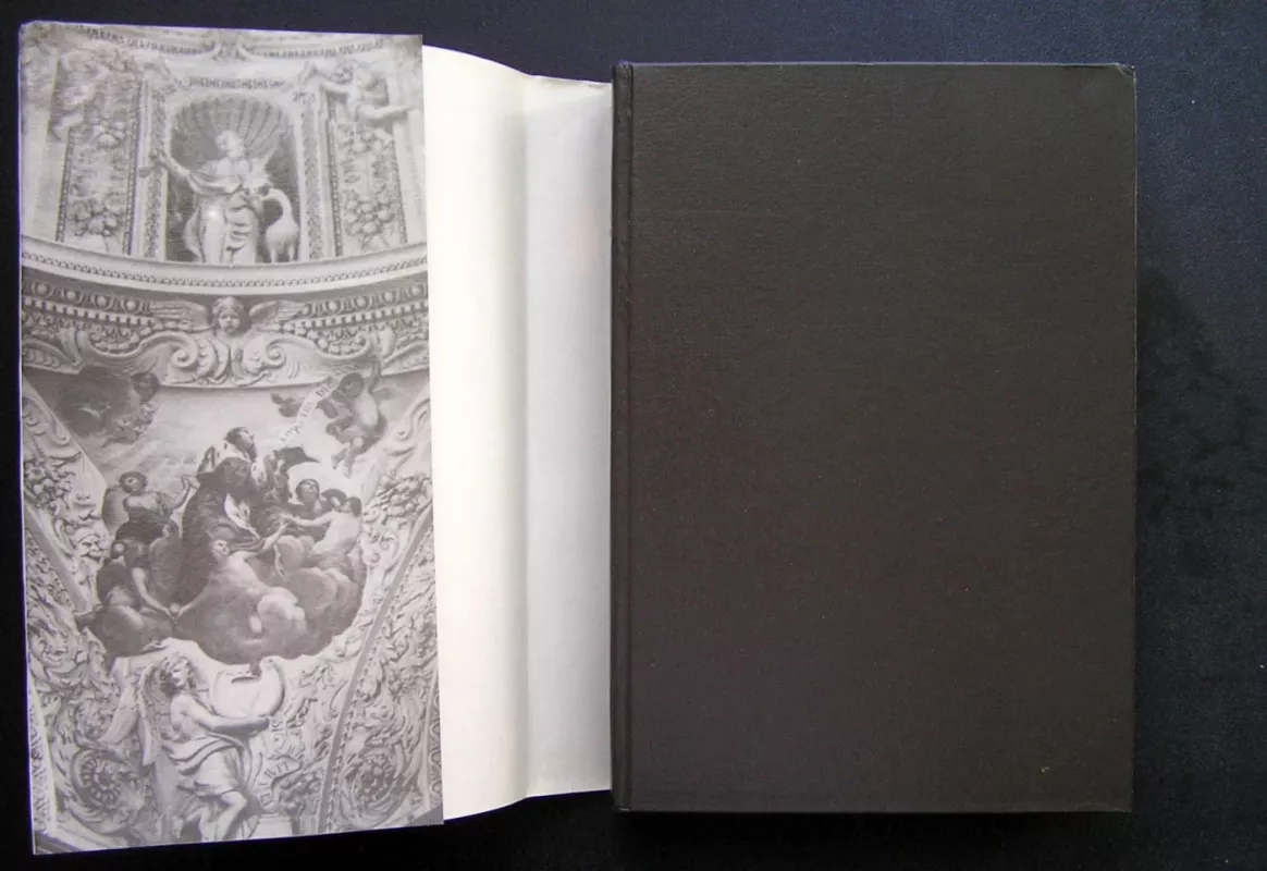 Lietuvos architektūros istorija (2 tomas). Nuo XVII a. pradžios iki XIX a. vidurio - Autorių kolektyas, knyga 3