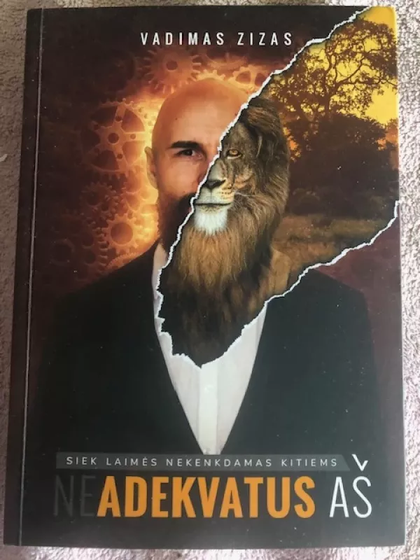 Neadekvatus aš - Vadimas Zizas, knyga 2