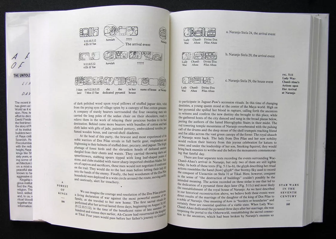 A Forest of Kings: The Untold Story of the Ancient Maya - Linda Schele, David Freidel, knyga 4