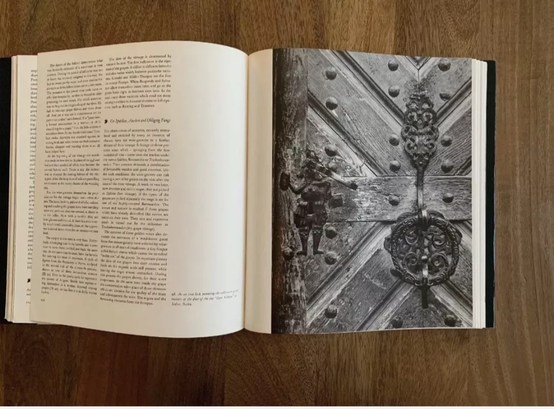 Rudolf Weinhold Vivat Bacchus: A history of the vine and its wine - Weinhold, Rudolf, knyga 6