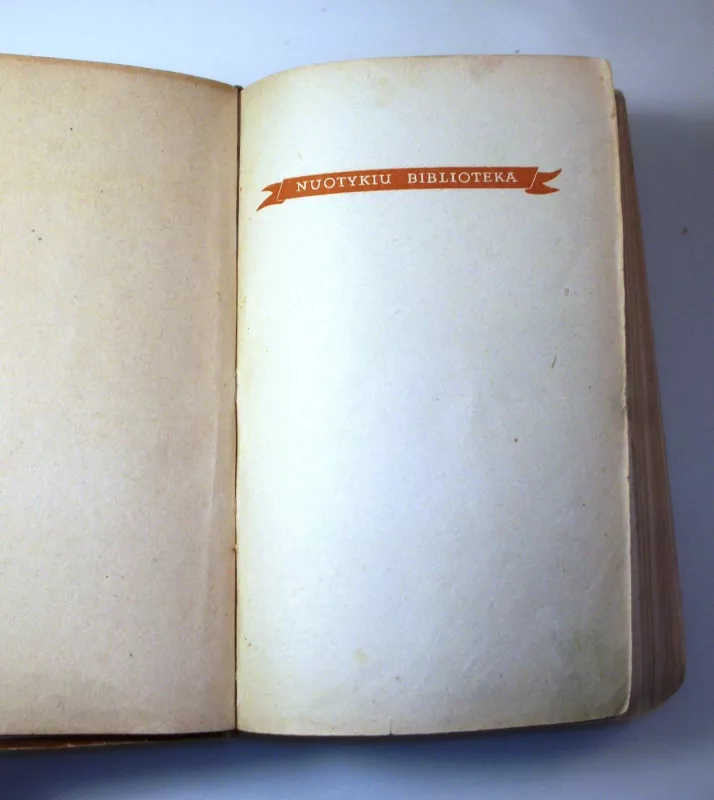 Aivenhas - Valteris Skotas, knyga 5