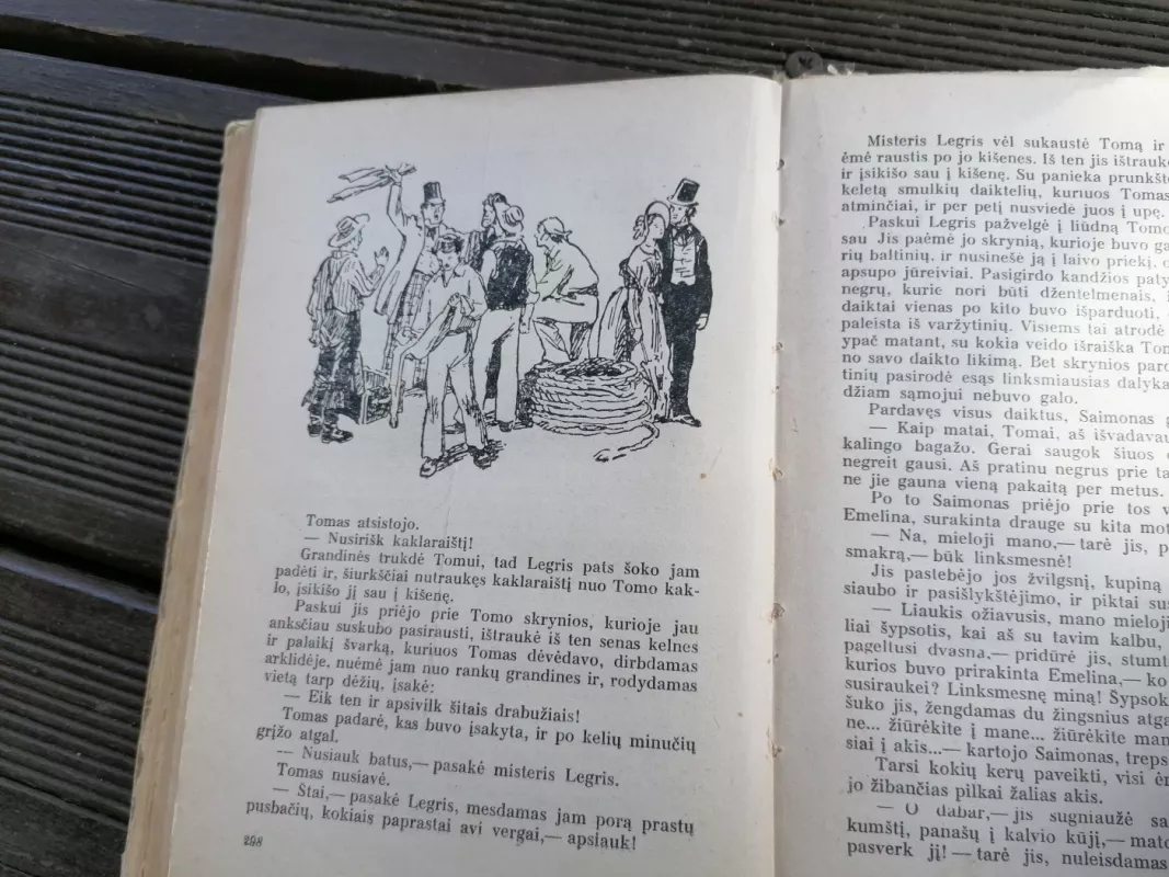 Dėdės Tomo trobelė - Harieta Bičer-Stou, knyga 6