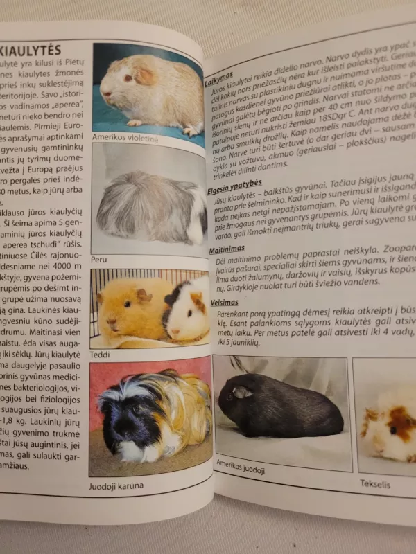Mažoji enciklopedija. Naminiai gyvūnai - Autorių Kolektyvas, knyga 4