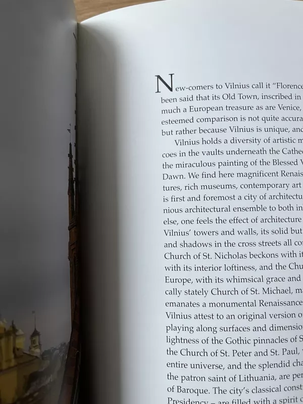 Vilnius - Raimondas Paknys, knyga 5