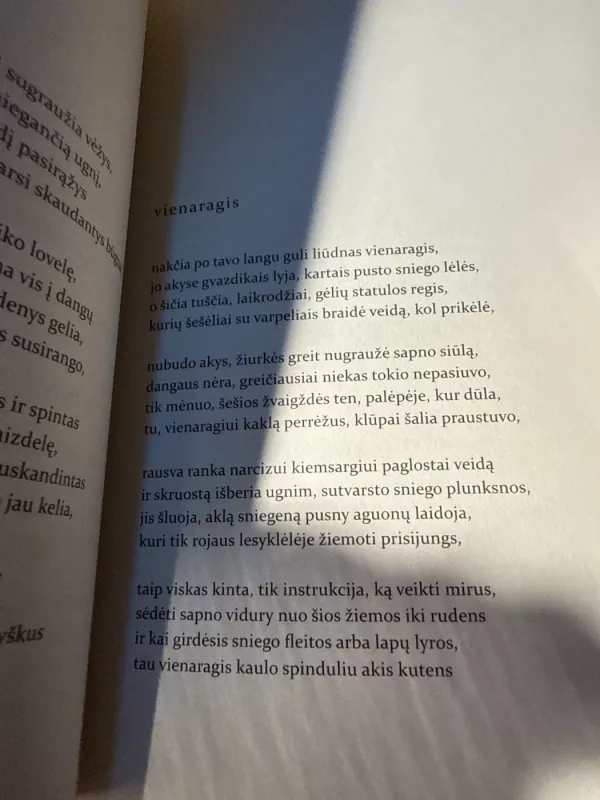 Povų ežeras - Ernestas Noreika, knyga 3