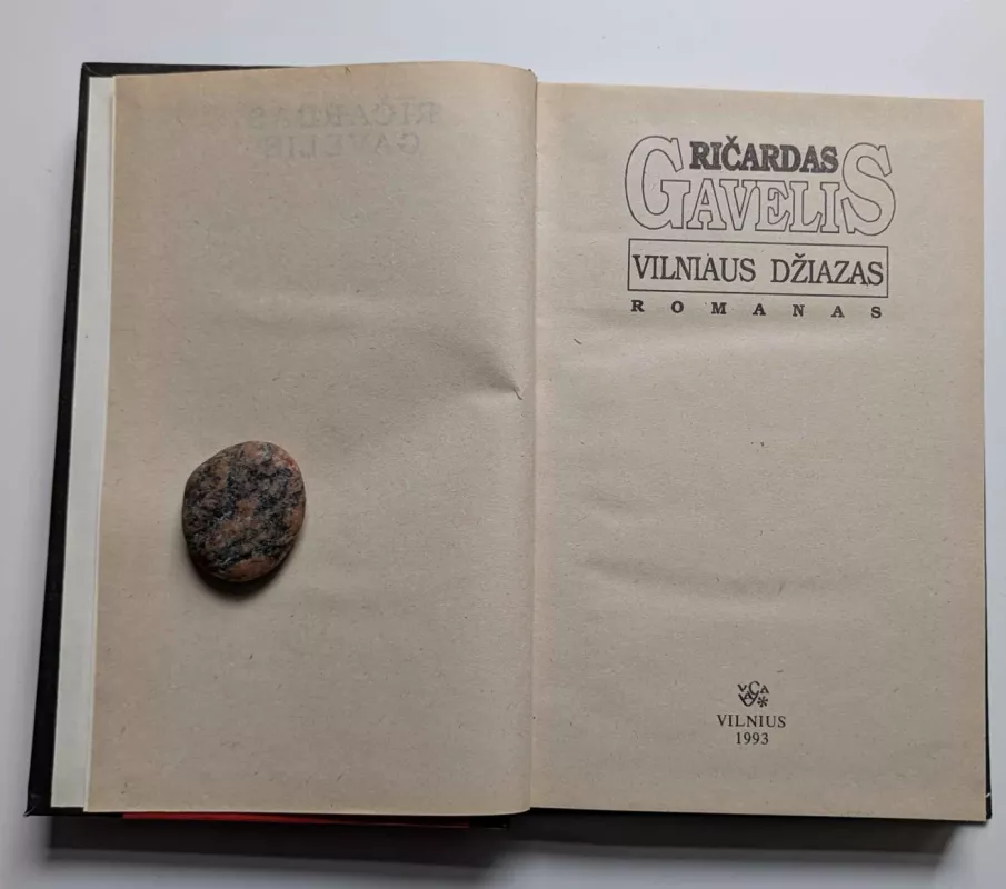 Vilniaus džiazas - Ričardas Gavelis, knyga 3