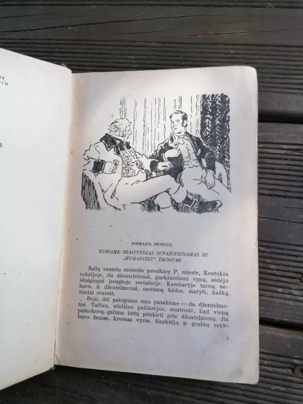 Dėdės Tomo trobelė - Harieta Bičer-Stou, knyga 3