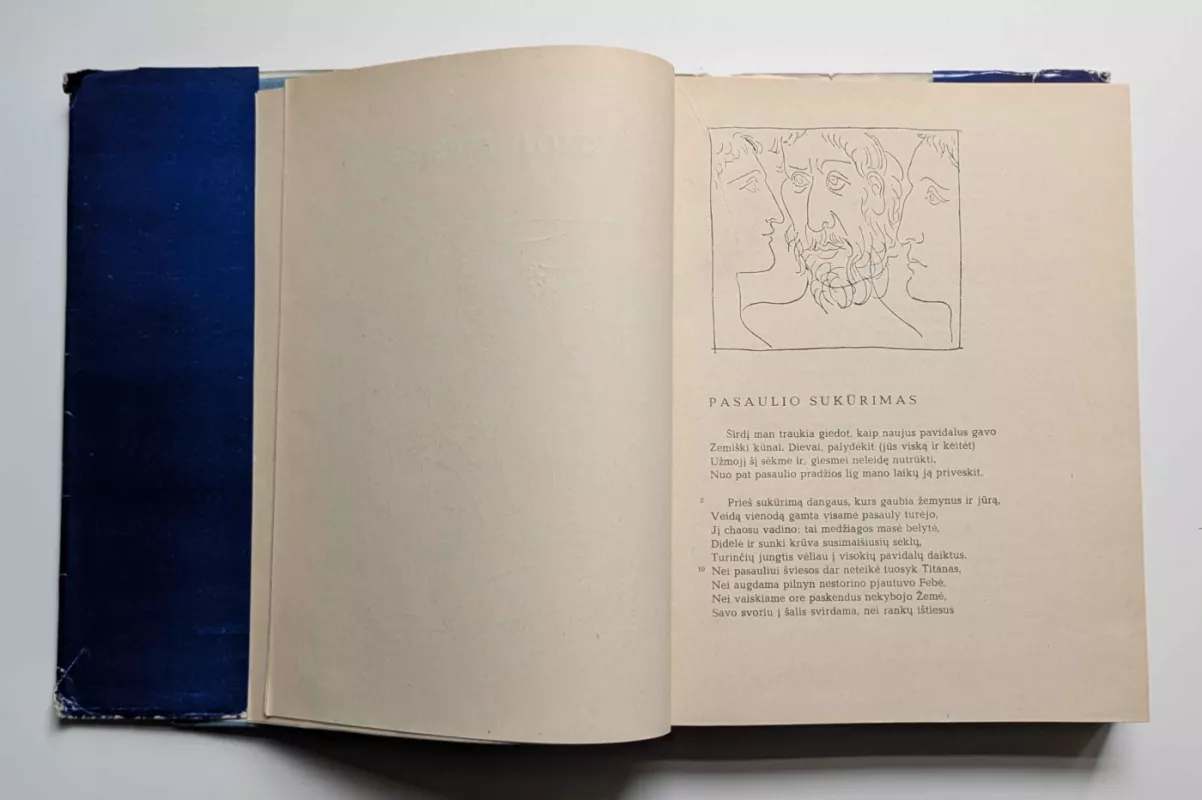 Metamorfozės - Autorių Kolektyvas, knyga 4