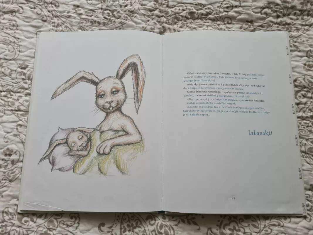 Triušelis, kuris norėjo užmigti - Carl-Johan Forssén Ehrlin, knyga 4