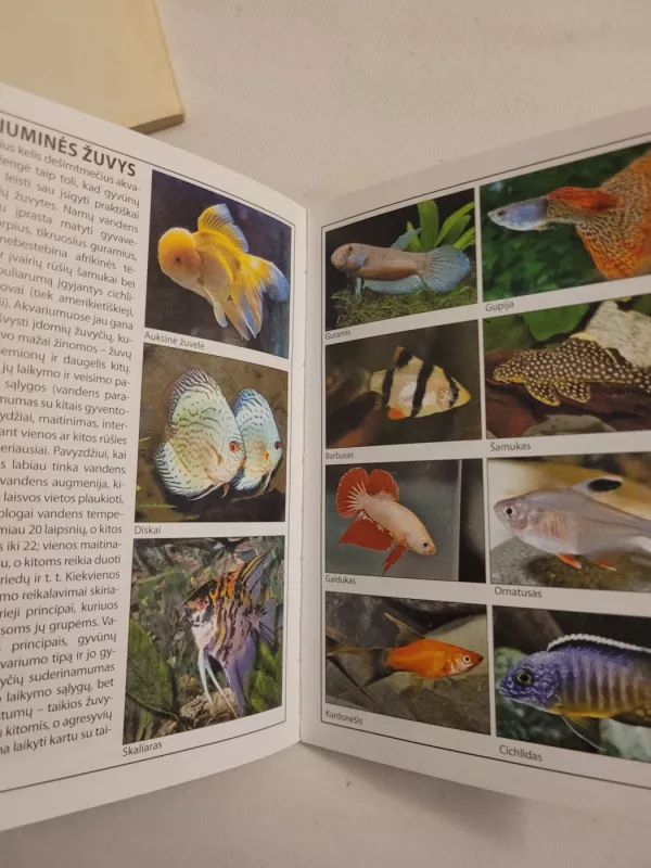 Mažoji enciklopedija. Naminiai gyvūnai - Autorių Kolektyvas, knyga 3