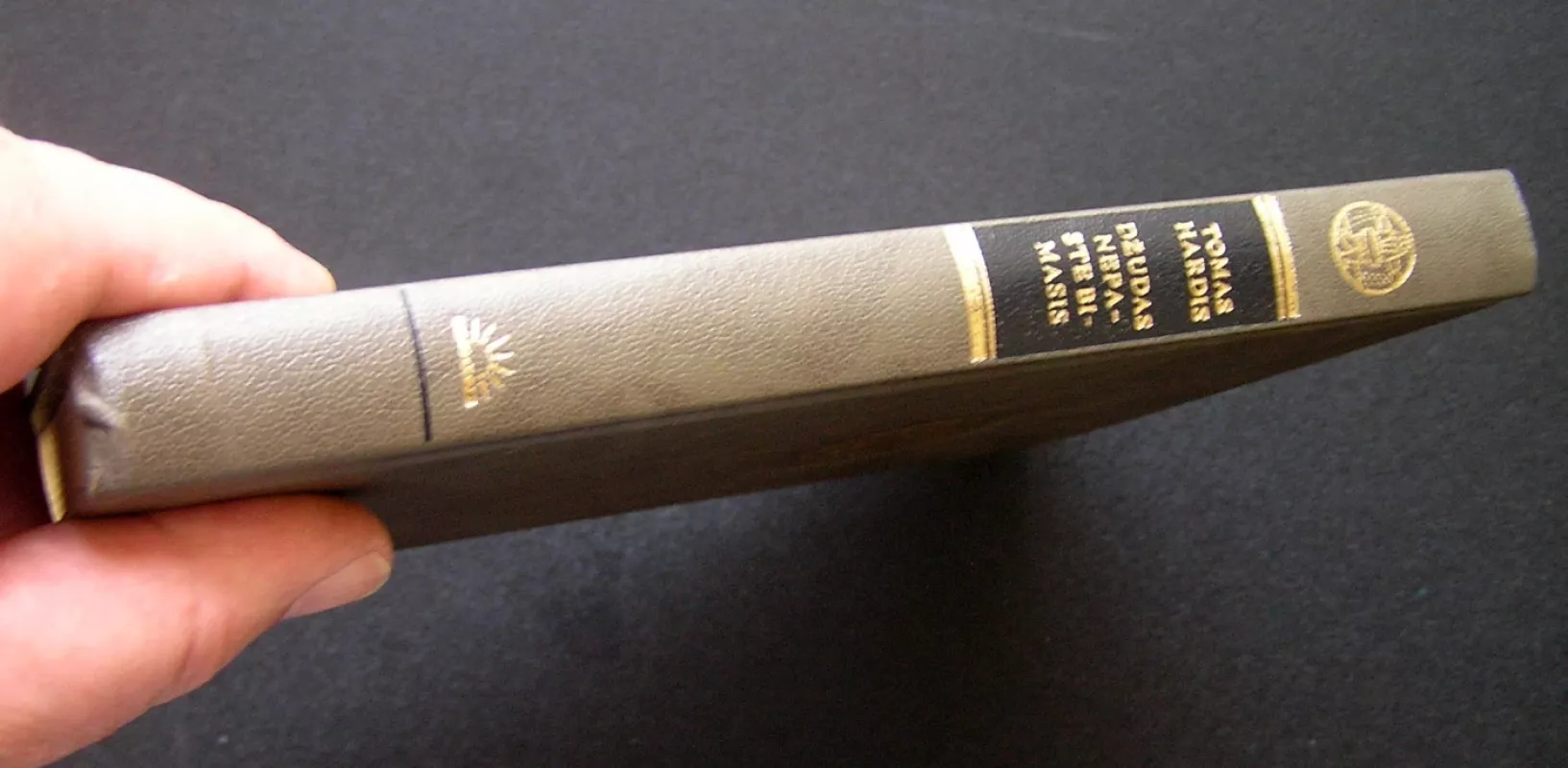 Džudas nepastebimasis - Tomas Hardis, knyga 6