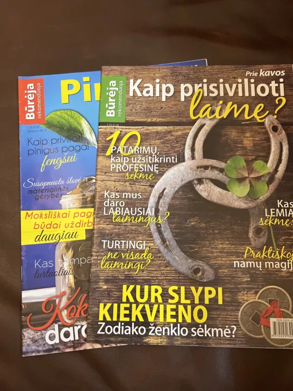 Būrėja rekomenduoja - Autorių kolektyvas (įvairūs), knyga 2