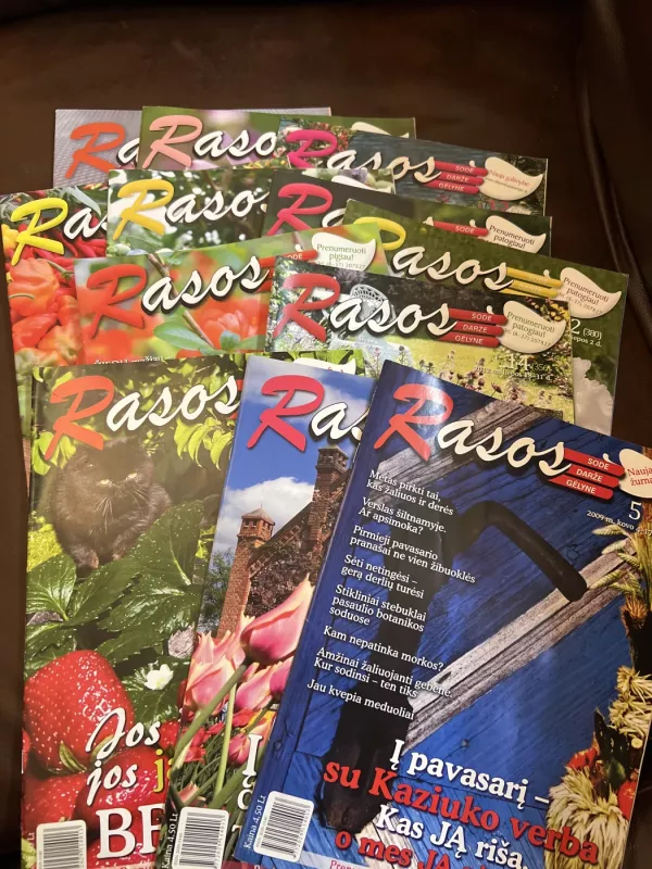 Rasos - Autorių kolekyvas, knyga 2