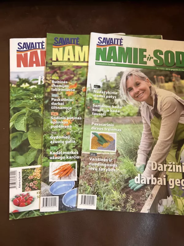 Namie ir sode 16vnt - Autorių nėra, knyga 5