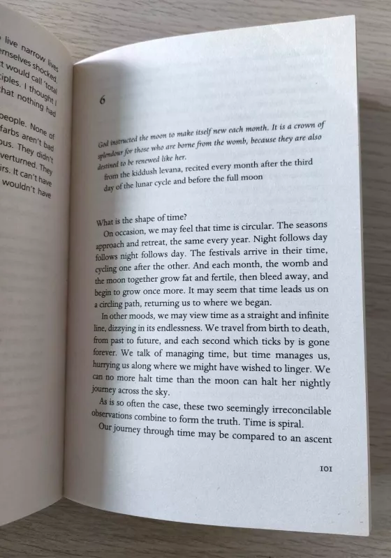 Disobedience: From the author of The Power, winner of the Baileys Women's Prize for Fiction - Naomi Alderman, knyga 6