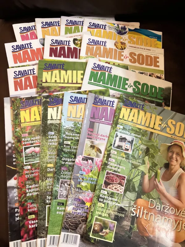 Namie ir sode 16vnt - Autorių nėra, knyga 2