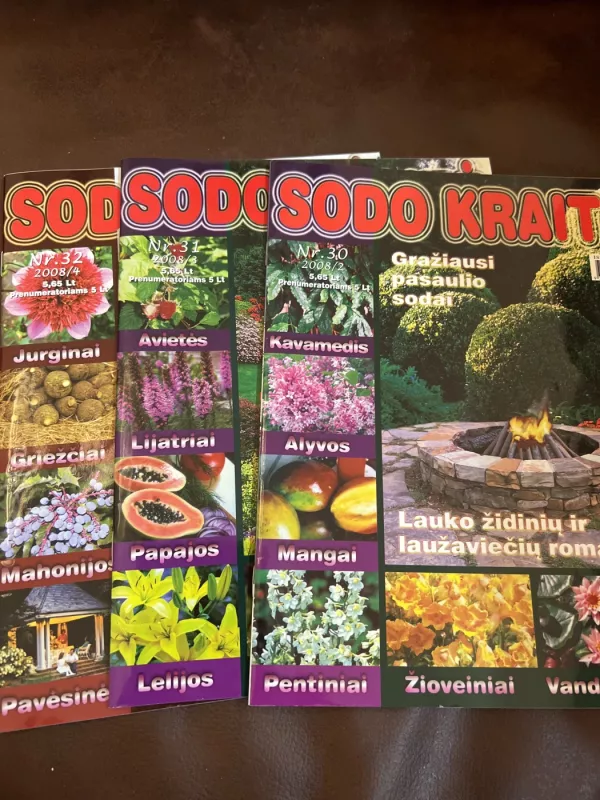 Sodo kraitė 8vnt - Autorių kolekyvas, knyga 4