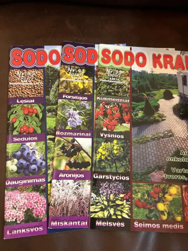 Sodo kraitė 8vnt - Autorių kolekyvas, knyga 3