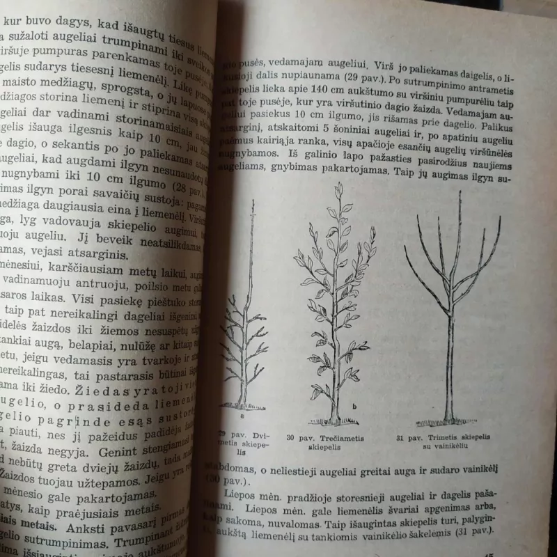 Sodininkystės vadovėlis - A. Urbonas, knyga 5
