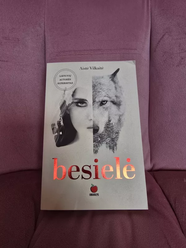 Besielė - Aistė Vilkaitė, knyga 2