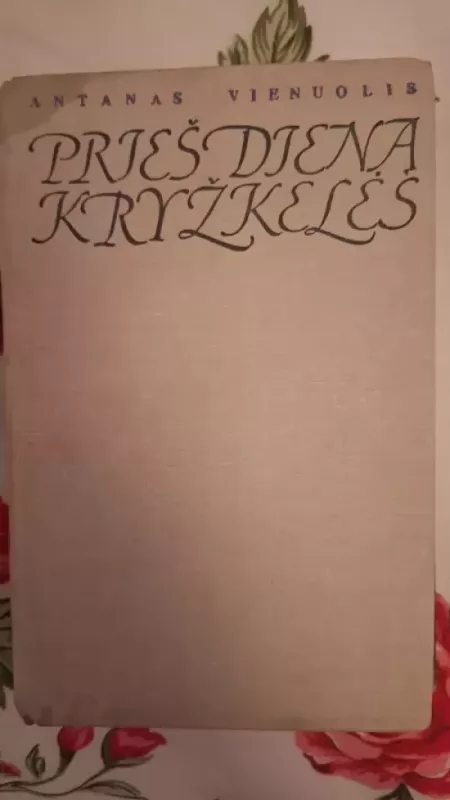 Prieš dieną kryžkelės - Antanas Vienuolis, knyga 2