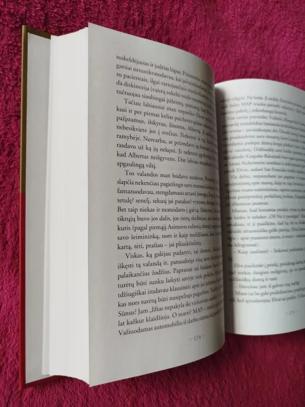 Meilės budelis ir kitos psichoterapinės istorijos - Irvin D. Yalom, knyga 4