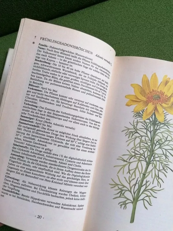 Vaistiniai augalai vakar ir siandien - Autorių kolektvas, knyga 4