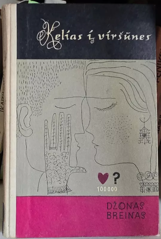 Kelias į viršūnes - Džonas Breinas, knyga 2